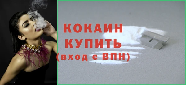 соль ск Белокуриха