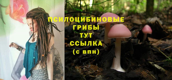 соль ск Белокуриха